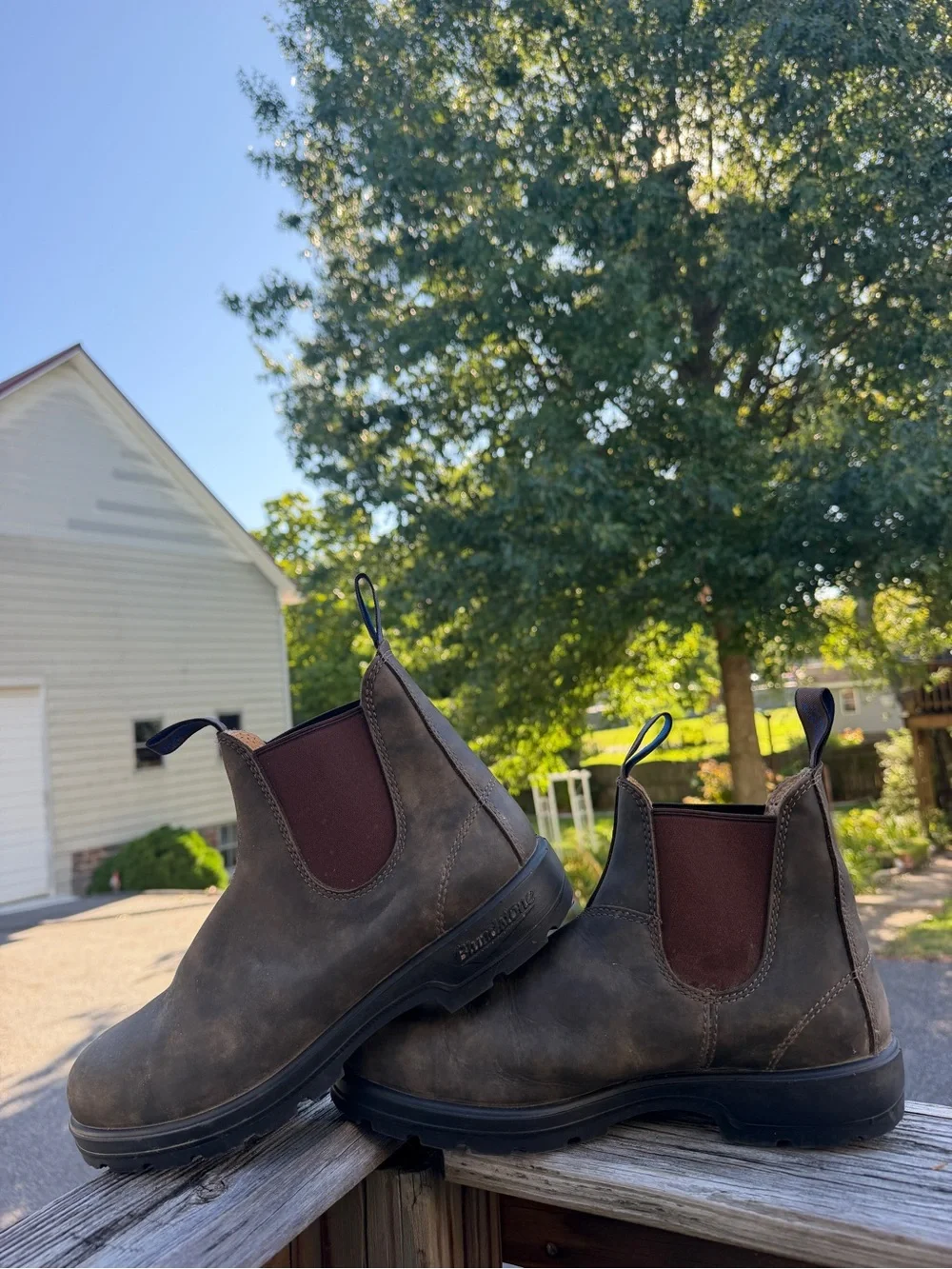 Blundstone 585 Men's Classic Chelsea Boots Rustic Brown- AU 7